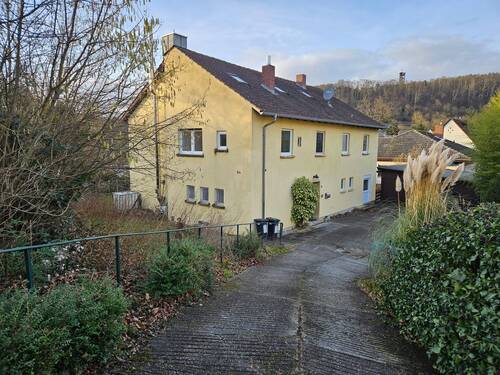 20250129_160021.jpg - Mehrfamilienhaus, Wohnhaus mit 231,00 m² in Bad Bergzabern zum Kaufen