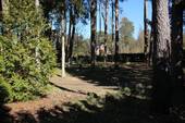 IMPRESSIONEN - 