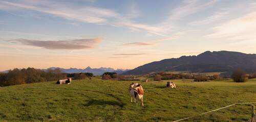 Sonnenaufgang Impression - Grundstück in Oy-Mittelberg