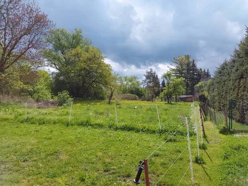 bauernhof-kaufen-haselbach (6) - 