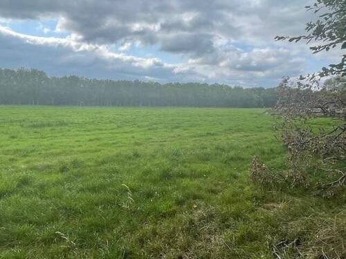 direkt angrenzende Weideflächen - 