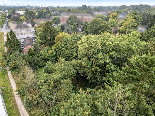 DJI_0359-Edit - 