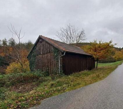 Separater Schuppen - 