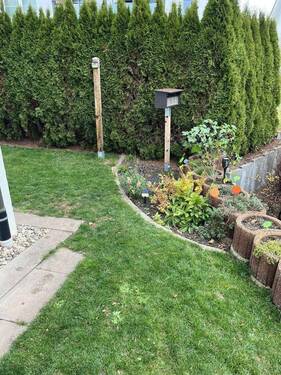 Bild von der Terrasse aus - 