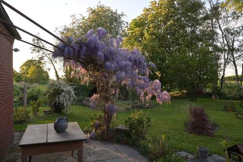 den Tag ausklingen lassen - 