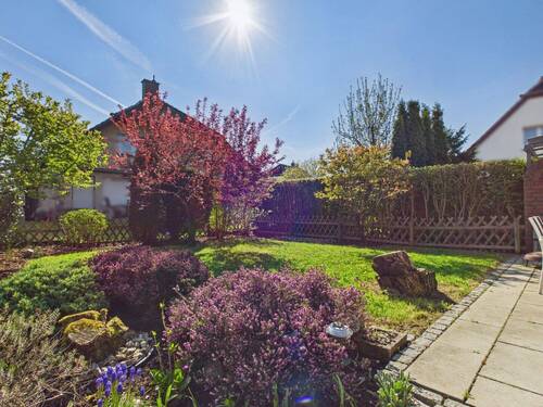 Blick in den Garten - 