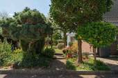 Garten - 3 Zimmer Doppelhaushälfte zum Kaufen in Seddiner See