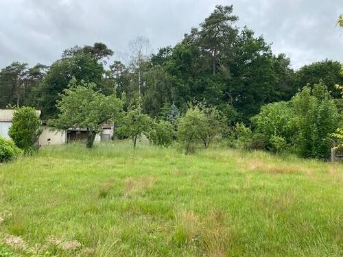 Blick ins Grundstück.jpg - Baugrundstück in ruhiger Waldrandlage - Ihr Traum vom Eigenheim beginnt hier!