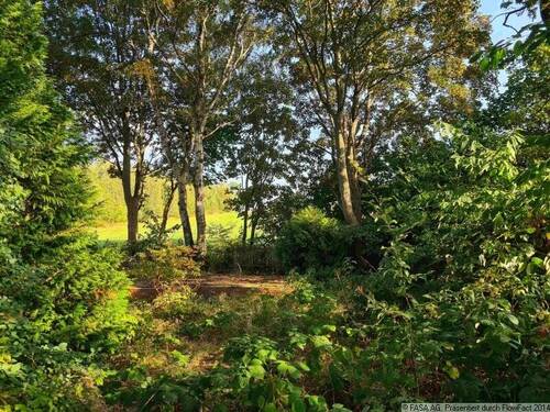 Sonnige Hochlage in Chemnitz-Stelzendorf - 