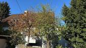 Bild 25 - 