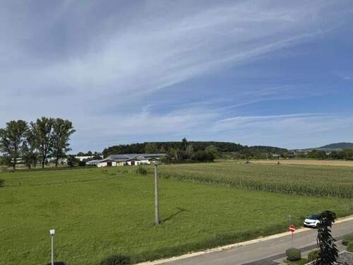 Ausblick - 