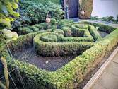 Teil des Gartens - 