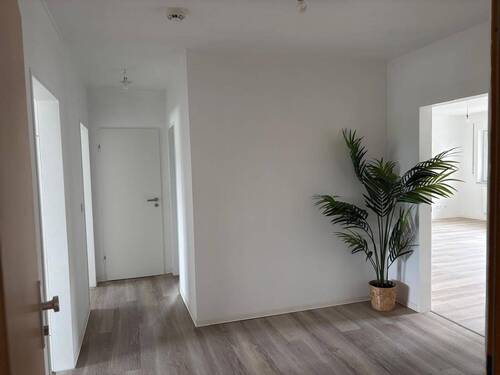 PHOTO-2025-09-12-12-53-46 16.jpg - 