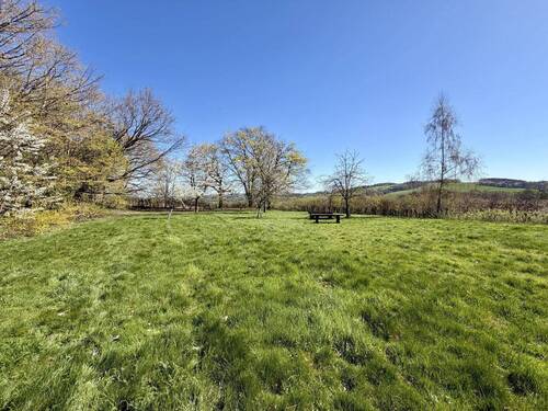 Außenanlagen/Garten - 