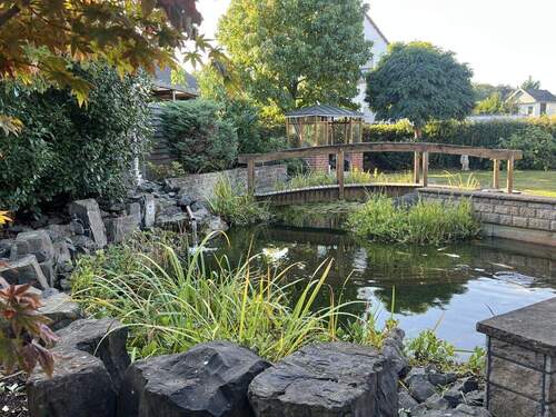 Friedlicher Gartenteich - 