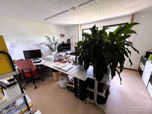 IMG 9954 - 