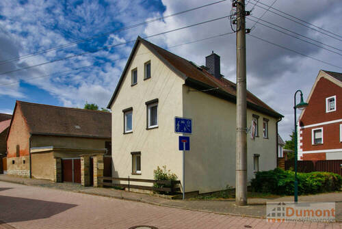 Hausansicht - 4 Zimmer Einfamilienhaus zum Kaufen in Lützen / Michlitz