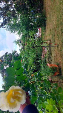 Bild 6 - 