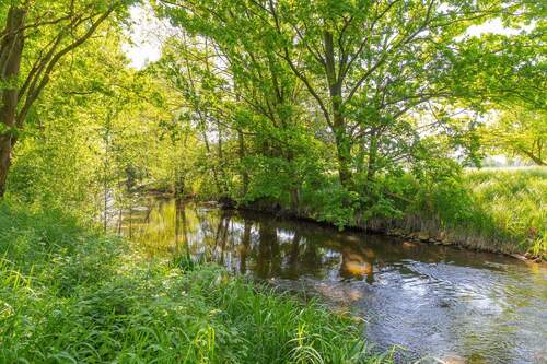 Am Greifenhainer Fließ - Einfamilienhaus mit 268,90 m² in Kolkwitz zum Kaufen