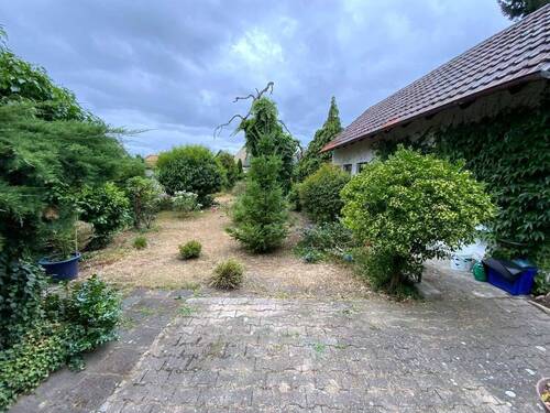 Ausblick von der Küche.jpeg - 