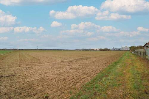 Ansicht Grundstück - Investitionschance: Großes Bauerwartungsland in Kandel mit ca. 27.743 m² Fläche