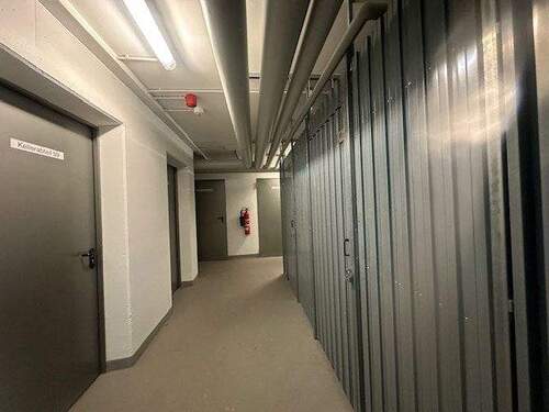 gepflegter Keller - 