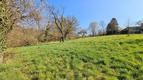 Blick nach Osten über Beispielparzelle hinaus - 