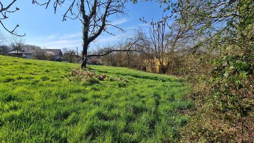 Blick nach SW - 