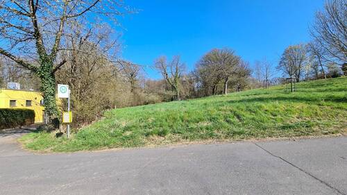 Blick von der Straße nach Norden - Grundstück in Königswinter zum Kaufen