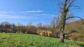 Blick nach SW - 