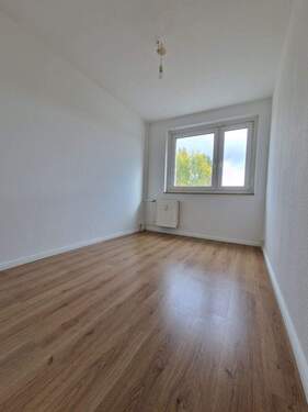Zimmer3 - 