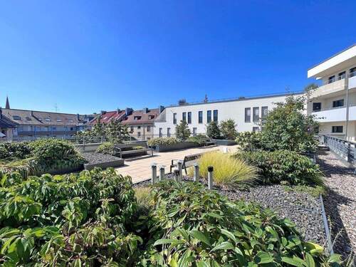 gemeinschaftlicher Dachgarten - 