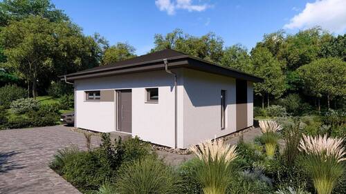 Ansicht Eingang - 2 Zimmer Bungalow zum Kaufen in Westerburg