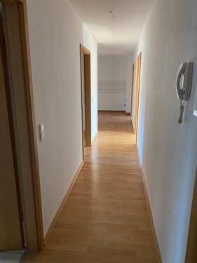 IMG_2142.jpeg - 