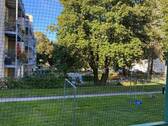 IMG_2126.jpeg - 