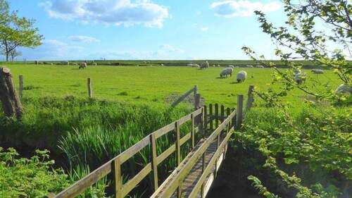 Ihre Nachbarn - Mehrfamilienhaus, Wohnhaus zum Kaufen in Glückstadt