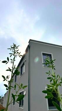 20250602 Nabburg EF (5) - bearbeitet.jpg - 