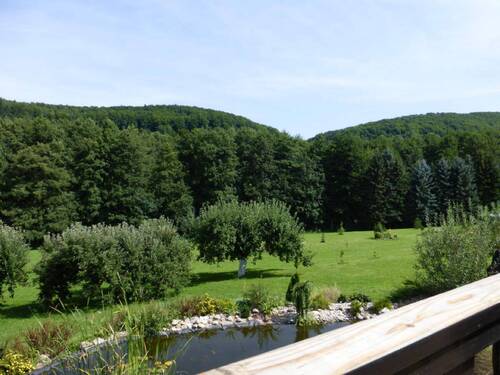 Blick in den Garten - Mehrfamilienhaus, Wohnhaus mit 778,00 m&sup2; in Schlüchtern zum Kaufen