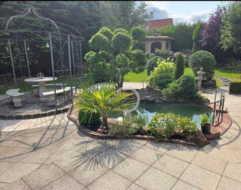 Gartenimpressionen - 