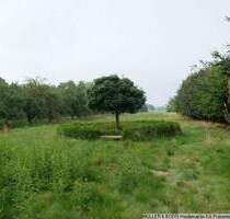 Idyllisches Baugrundstück mit Schwimmteich und Fernsicht! - Winsen Hoopte