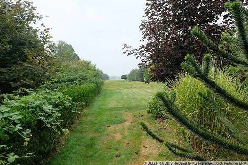 endlose Weite! - Grundstück in Winsen zum Kaufen