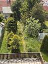 Blick in den Garten - 