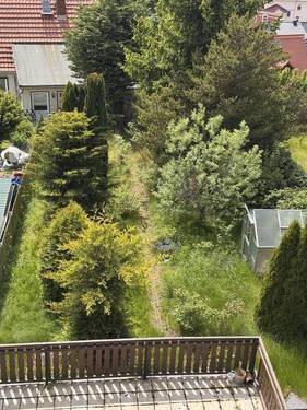 Blick in den Garten - 