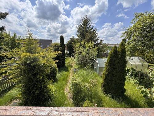 Blick in den Garten - 