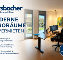 Moderne Büroräume in Freiburg-Littenweiler - Freiburg im Breisgau