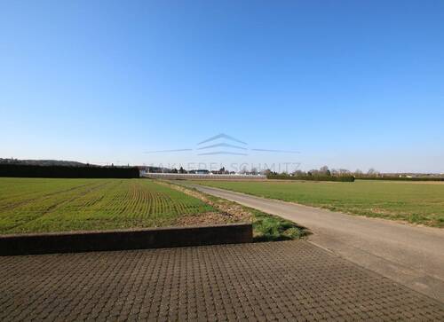 Direkt am Feld - 