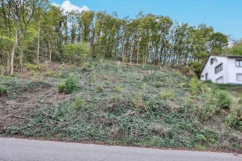 von vorne - Grundstück in Bad Münstereifel zum Kaufen