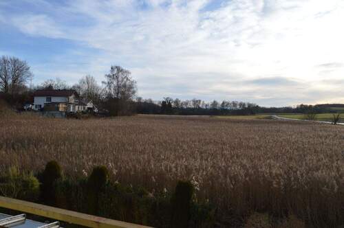 Ausblick vom Balkon - *Wörthsee - sehr hübsche, helle 2-Zimmer-Wohnung mit Balkon und herrlichem Blick