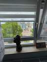 26 Fenster - 