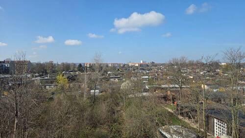 20260402_110439.jpg - 